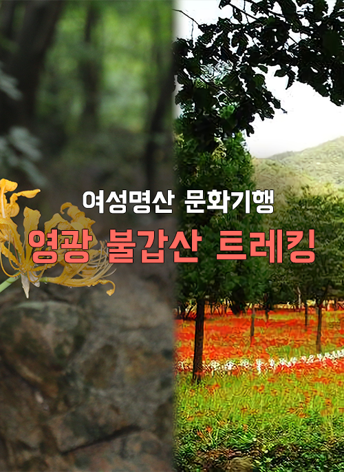 영광 불갑산 트레킹