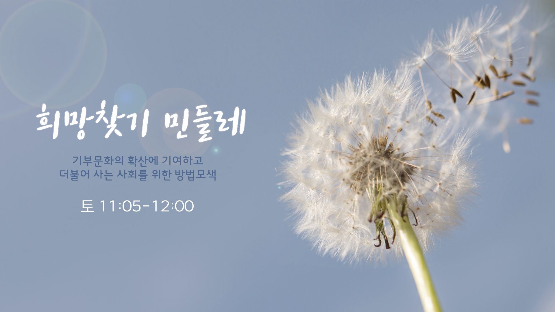 희망찾기 민들레