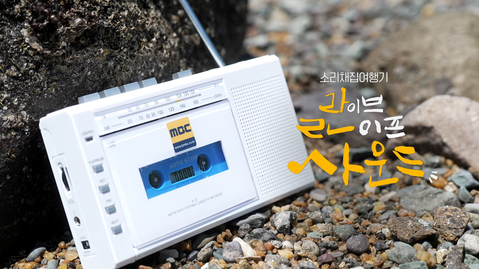 라이브 라이프 사운드